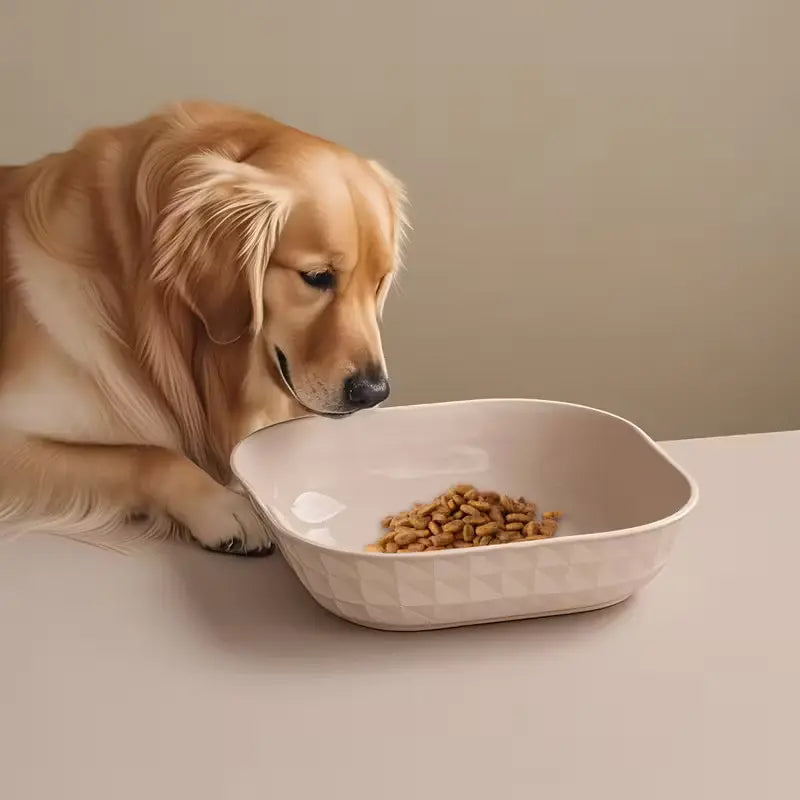 Set of 4 Durable Leak-Proof Cat Bowls - Anti-Fatigue Design for Easy Cleaning, Ideal for Indoor Use