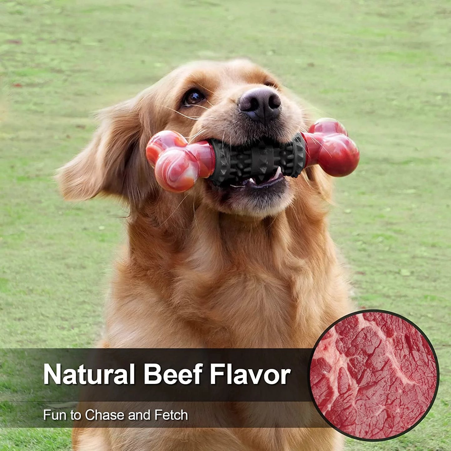 Indestructible Bone Dog Toy for Aggressive Chewers - Interactive Chew Toy for Medium to Large Dogs by Dinosam