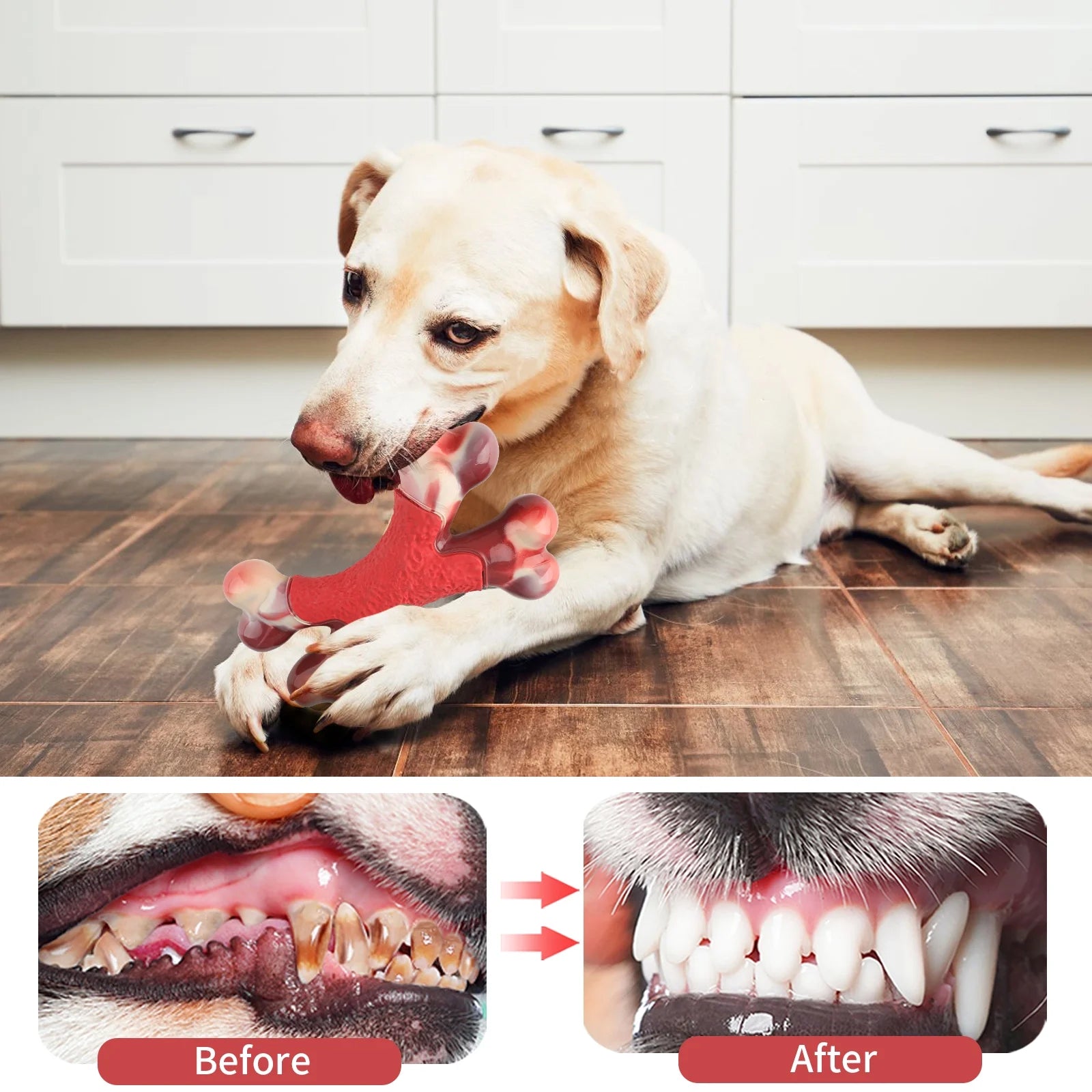 Indestructible Nylon Chew Toy for Large and Medium Aggressive Chewers