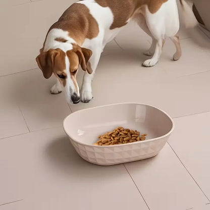 Set of 4 Durable Leak-Proof Cat Bowls - Anti-Fatigue Design for Easy Cleaning, Ideal for Indoor Use