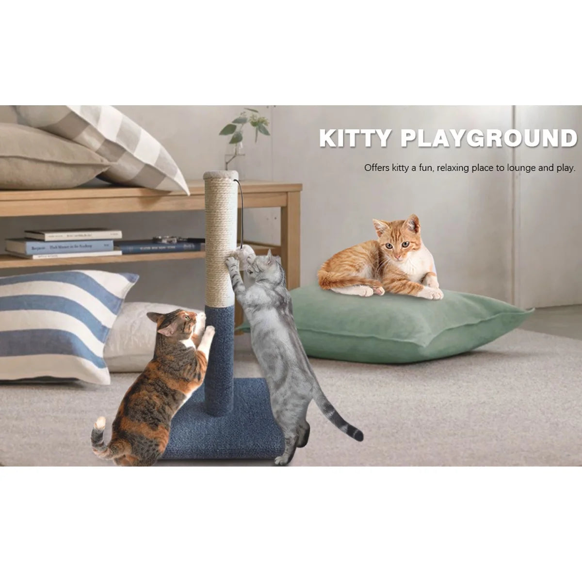 20-Inch Cat Scratching Post with Sisal Toy Board and Pad for Indoor Cats