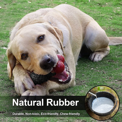 Indestructible Bone Dog Toy for Aggressive Chewers - Interactive Chew Toy for Medium to Large Dogs by Dinosam