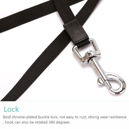 16.5FT Automatic Retractable Dog Leash with Pet Collar - Convenient Hands-Free Walking Solution - Complimentary Shipping within the US