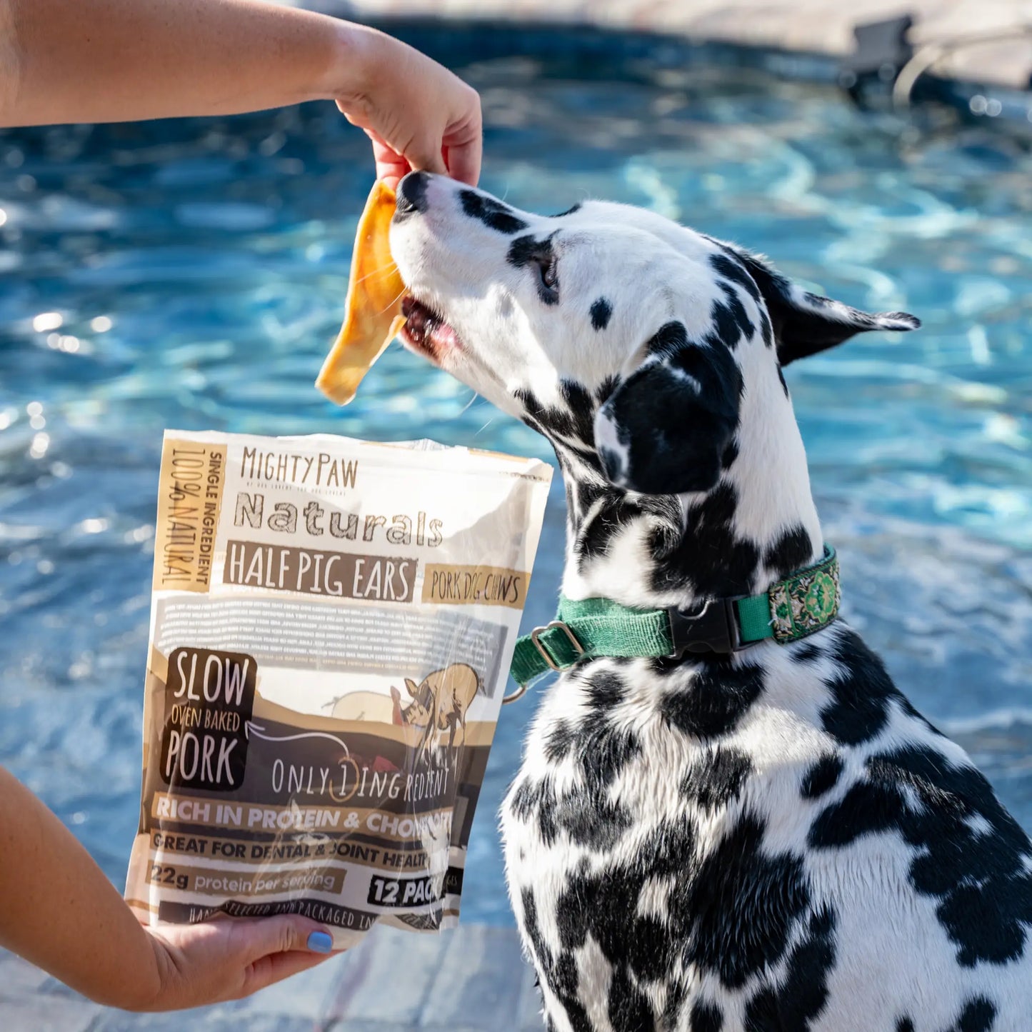 Mighty Paw Natural Ear Chews Bundle - Premium Grass-Fed Cow and Half Pig Ears for Dogs, Grain-Free Dental and Joint Support Treats, High Protein Options for All Breeds