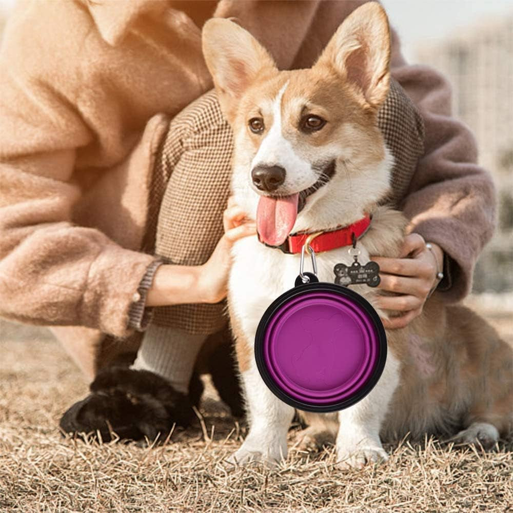 Large Collapsible Dog Bowls - 34oz Portable Travel Water and Food Dishes with Carabiner Clip, 2-Pack (Purple and Red)