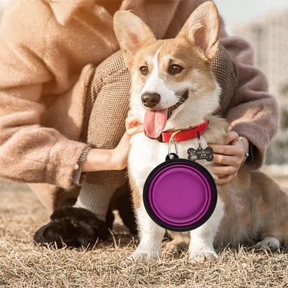 Large Collapsible Dog Bowls - 34oz Portable Travel Water and Food Dishes with Carabiner Clip, 2-Pack (Purple and Red)