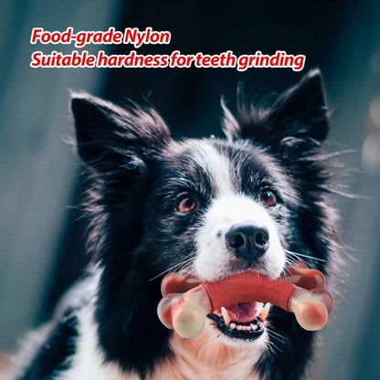 Indestructible Nylon Chew Toy for Large and Medium Aggressive Chewers