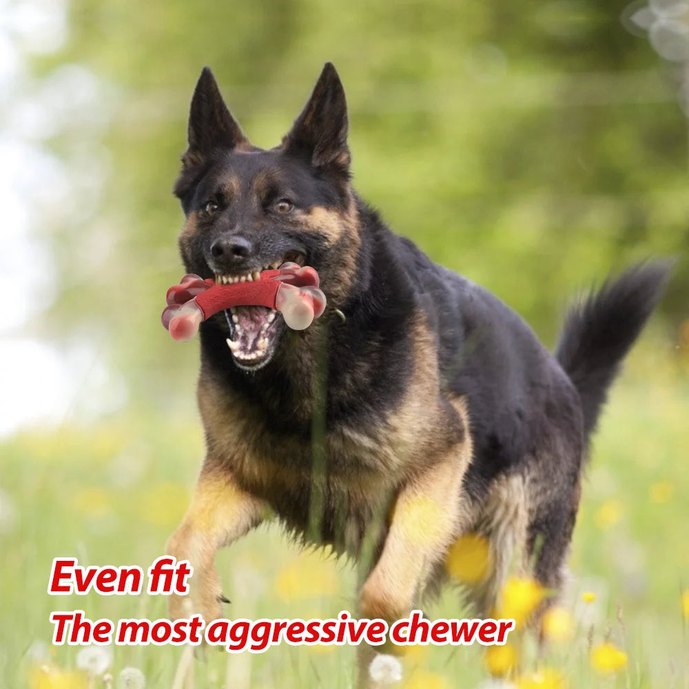 Indestructible Nylon Chew Toy for Large and Medium Aggressive Chewers