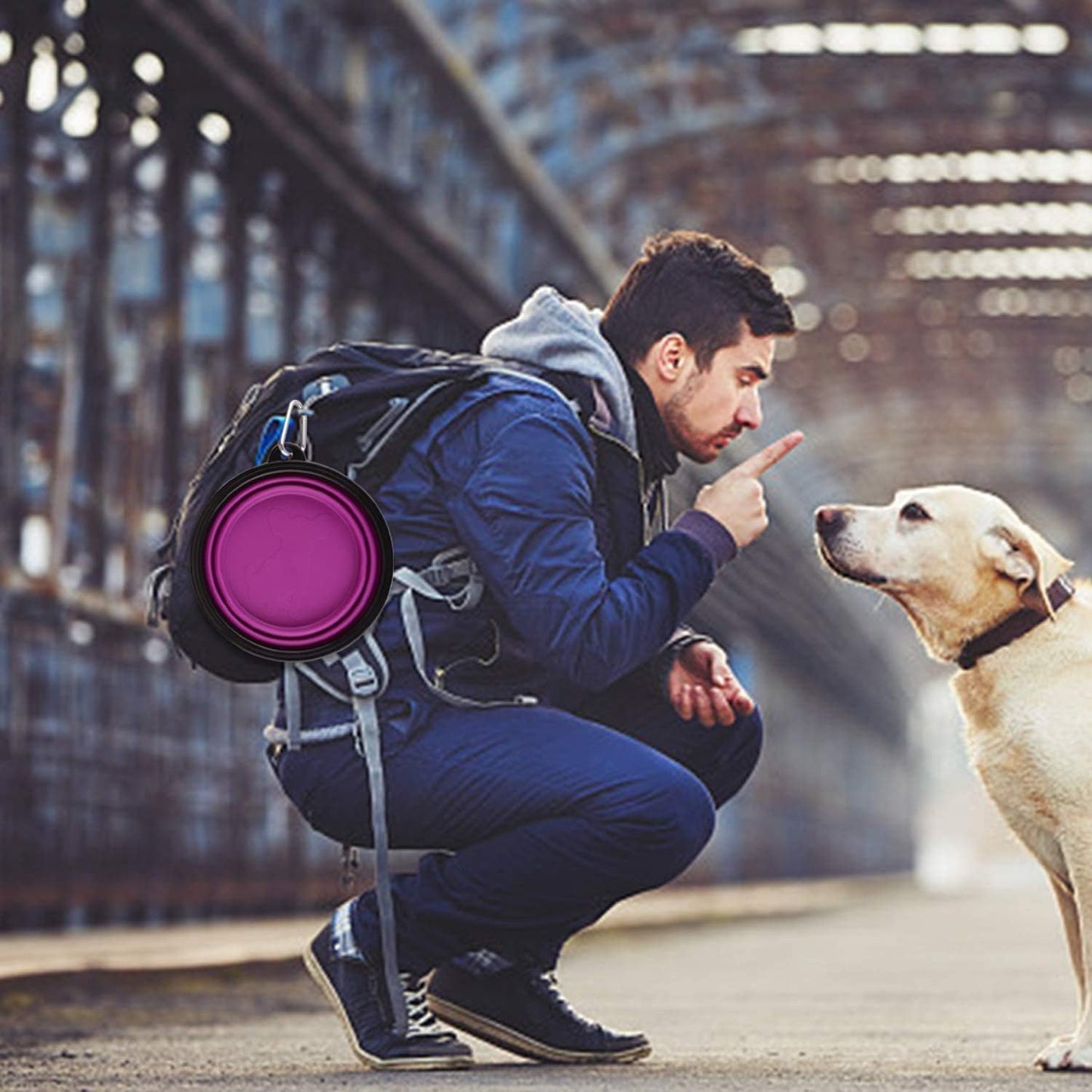 Large Collapsible Dog Bowls - 34oz Portable Travel Water and Food Dishes with Carabiner Clip, 2-Pack (Purple and Red)