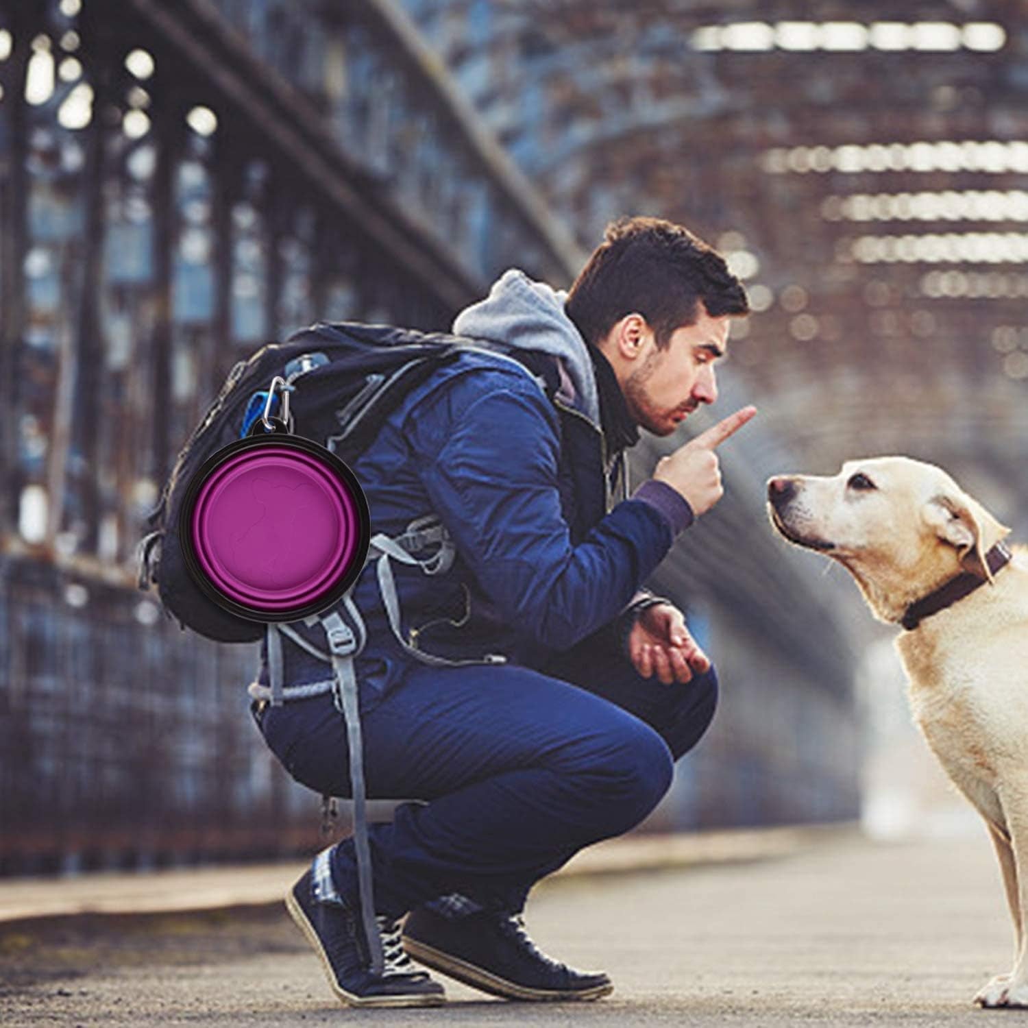 Large Collapsible Dog Bowls - 34oz Portable Travel Water and Food Dishes with Carabiner Clip, 2-Pack (Purple and Red)