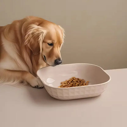 Set of 4 Durable Leak-Proof Cat Bowls - Anti-Fatigue Design for Easy Cleaning, Ideal for Indoor Use