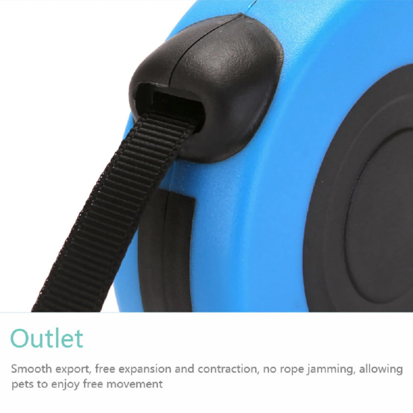 16.5FT Automatic Retractable Dog Leash with Pet Collar - Convenient Hands-Free Walking Solution - Complimentary Shipping within the US