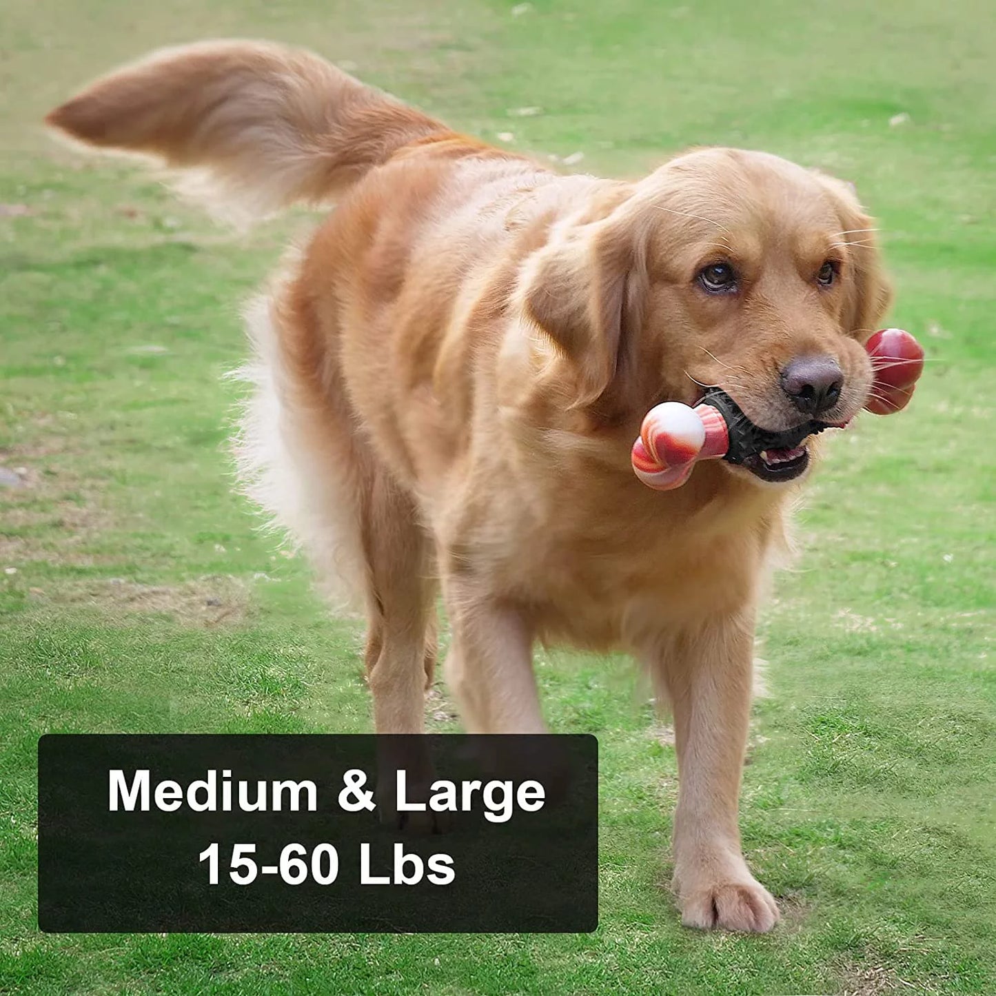 Indestructible Bone Dog Toy for Aggressive Chewers - Interactive Chew Toy for Medium to Large Dogs by Dinosam