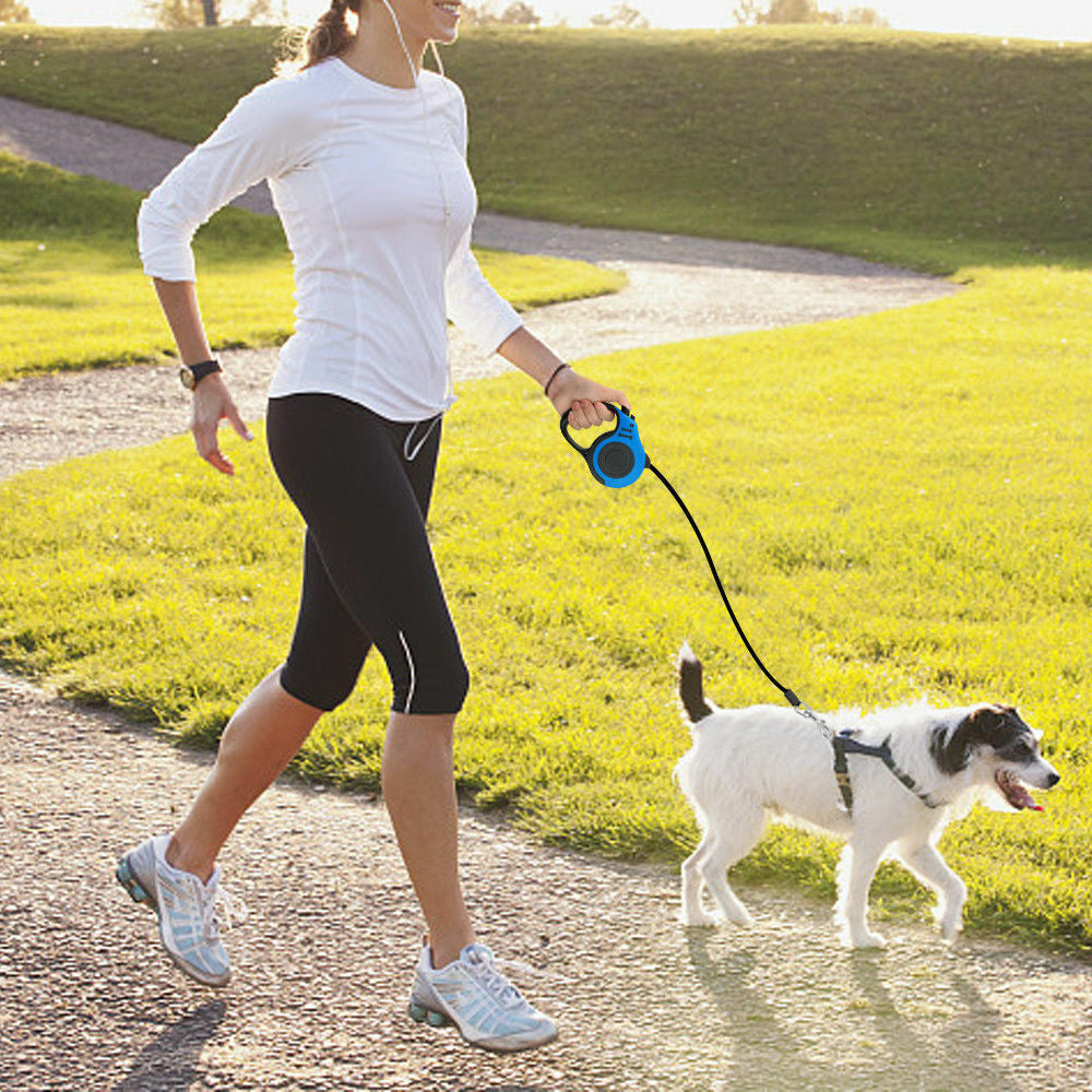 16.5FT Automatic Retractable Dog Leash with Pet Collar - Convenient Hands-Free Walking Solution - Complimentary Shipping within the US