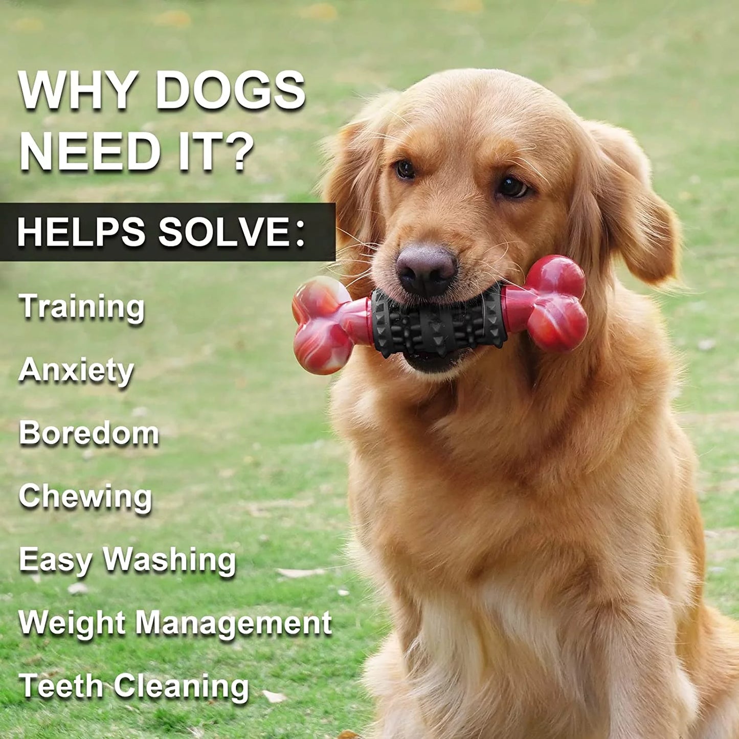 Indestructible Bone Dog Toy for Aggressive Chewers - Interactive Chew Toy for Medium to Large Dogs by Dinosam