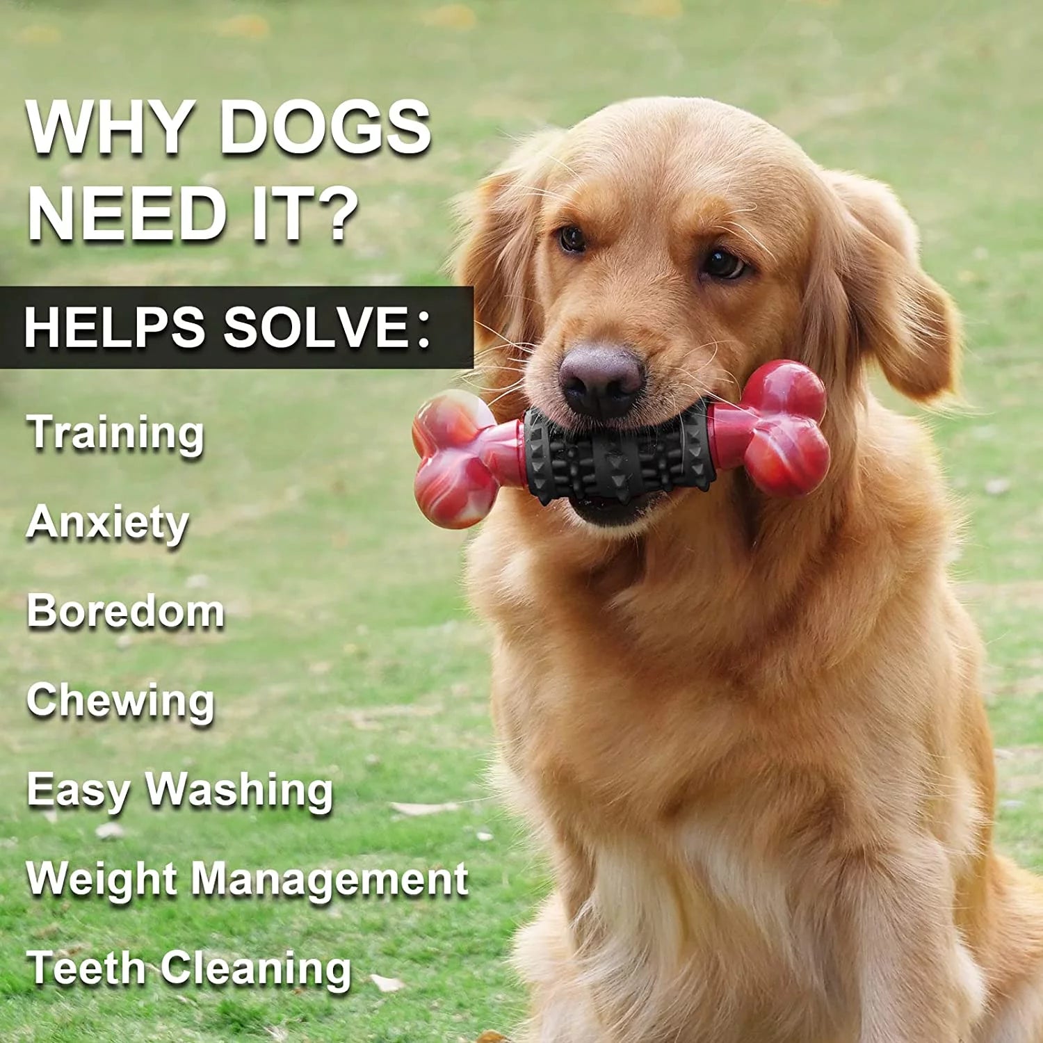 Indestructible Bone Dog Toy for Aggressive Chewers - Interactive Chew Toy for Medium to Large Dogs by Dinosam